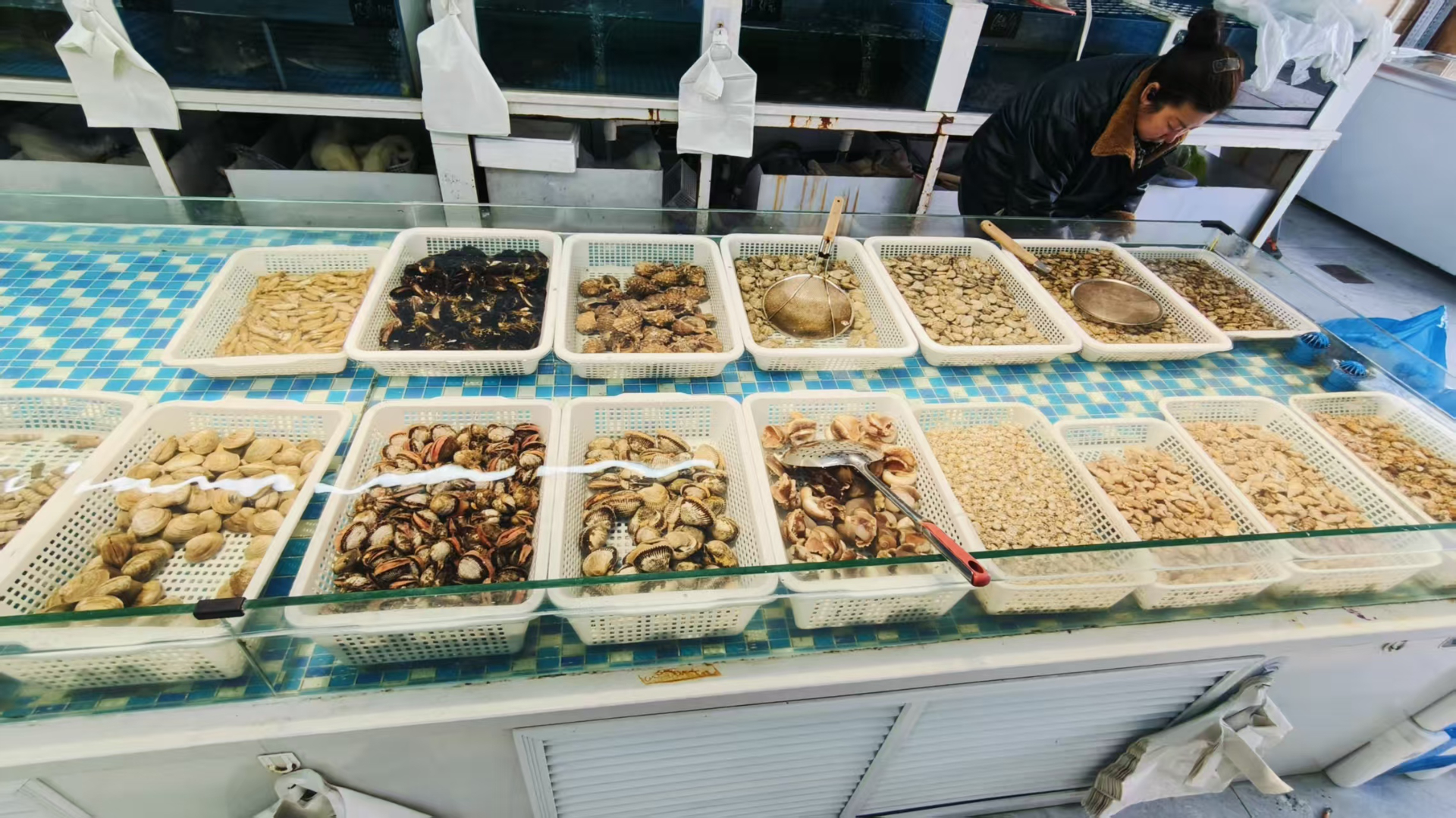 宽城区海鲜批发店出兑 带线上客户资源