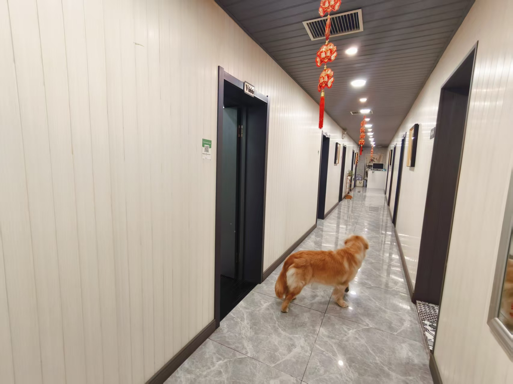 平治街全二层棋牌室出兑转让
